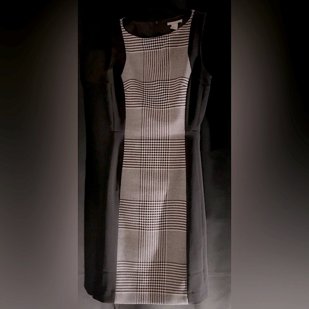 H & M Gingham and Black Sleeveless Dress